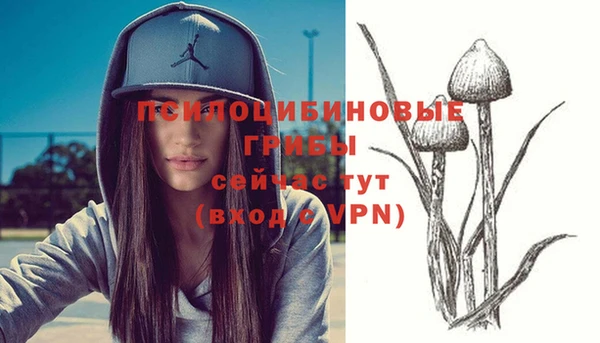 герыч Алексеевка