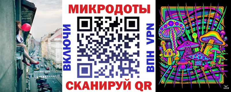 Псилоцибиновые грибы Psilocybine cubensis  Камбарка 